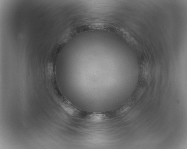 X0000071910711200607212042