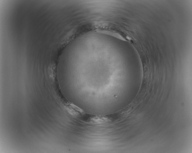 X0000071910712200607212042