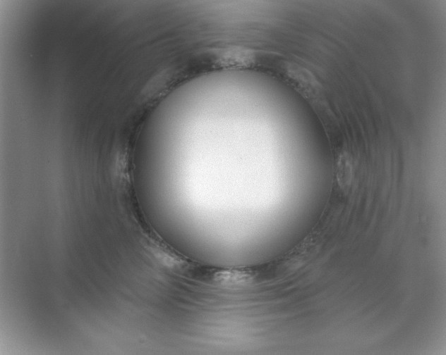 X0000071910714200607212042