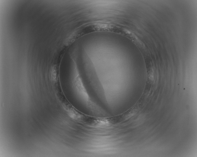 X0000071910715200607212042