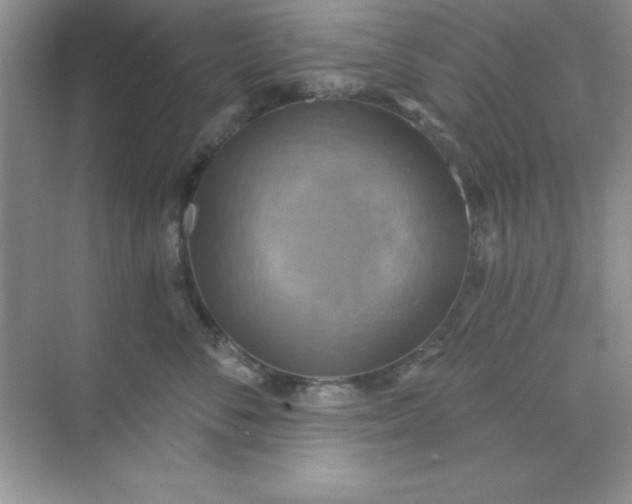 X0000071910716200607212042