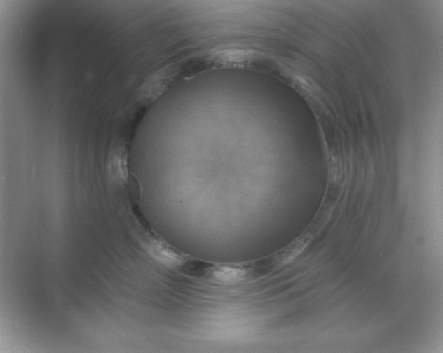 X0000071910718200607212042