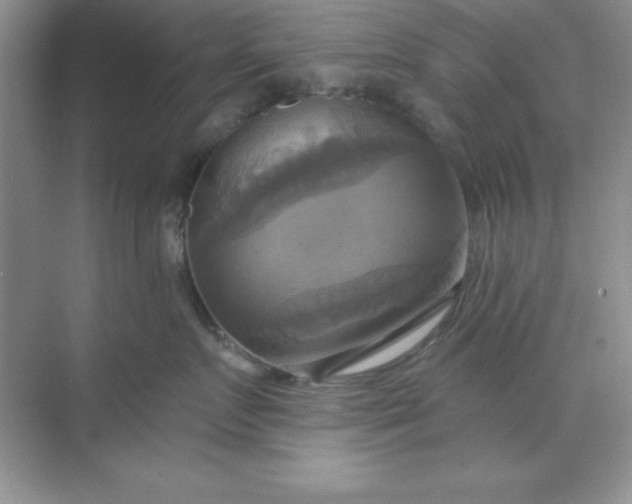 X0000071910719200607212042