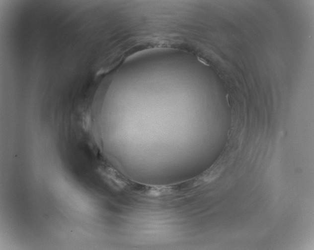 X0000071910720200607212042