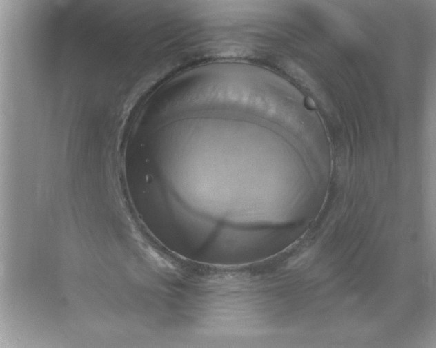 X0000071910721200607212041