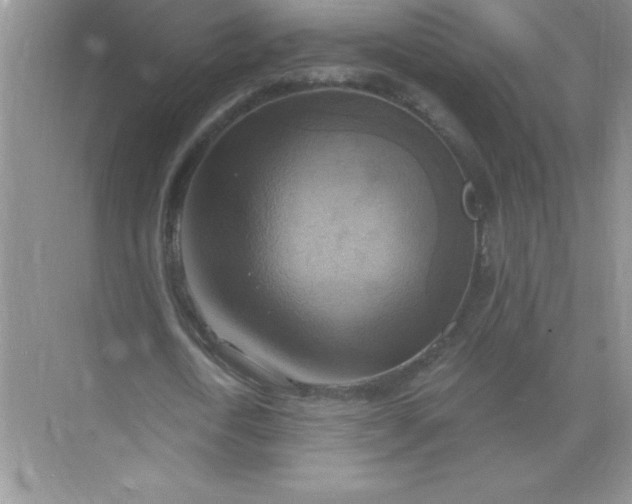 X0000071910722200607212041