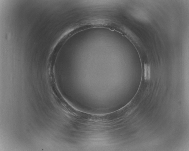 X0000071910723200607212041