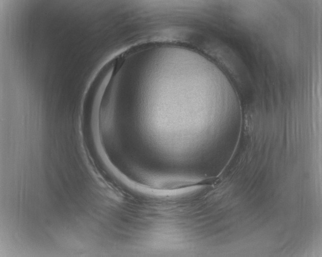 X0000071910724200607212041