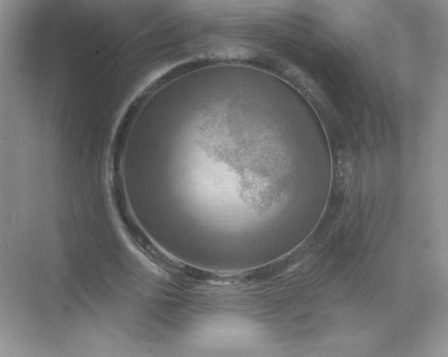 X0000071910726200607212041