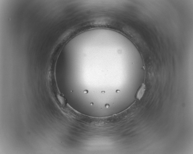 X0000071910728200607212041