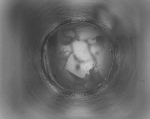 X0000071910729200607212041