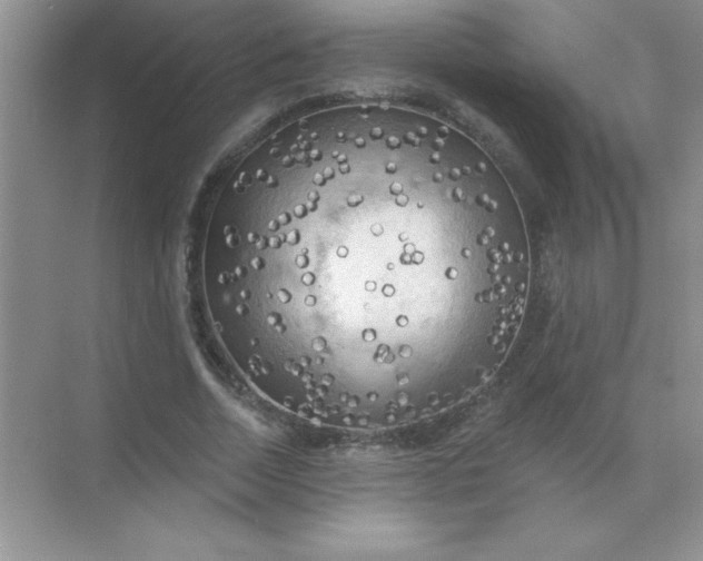 X0000071910730200607212041