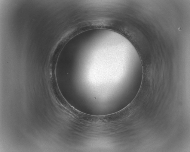 X0000071910731200607212041