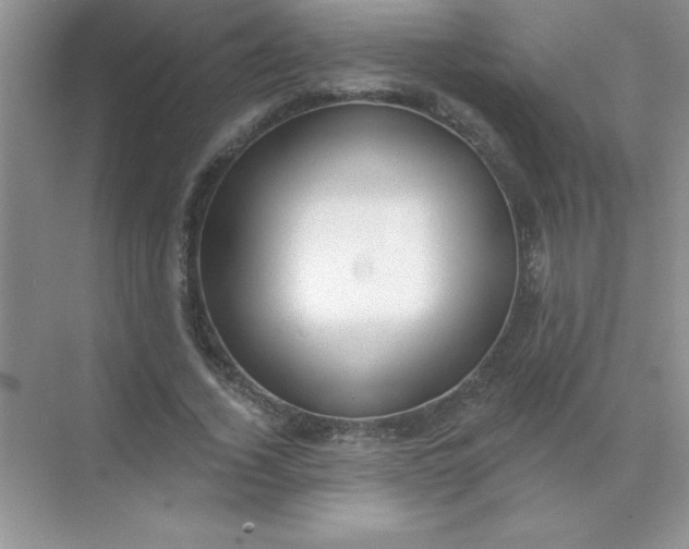 X0000071910732200607212041