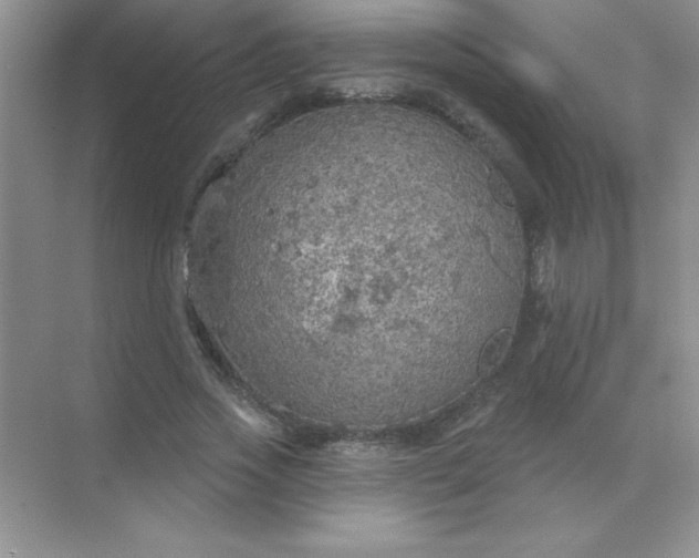 X0000071910733200607212041