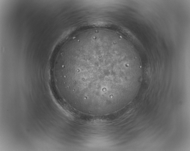 X0000071910734200607212042