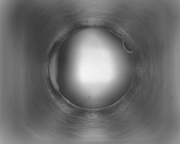 X0000071910735200607212042