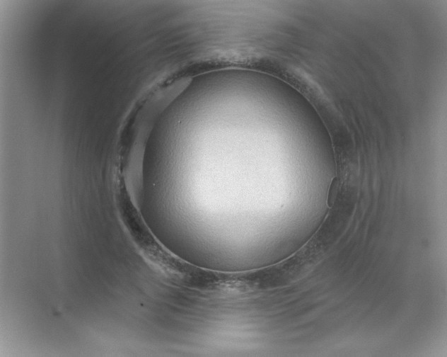 X0000071910736200607212042