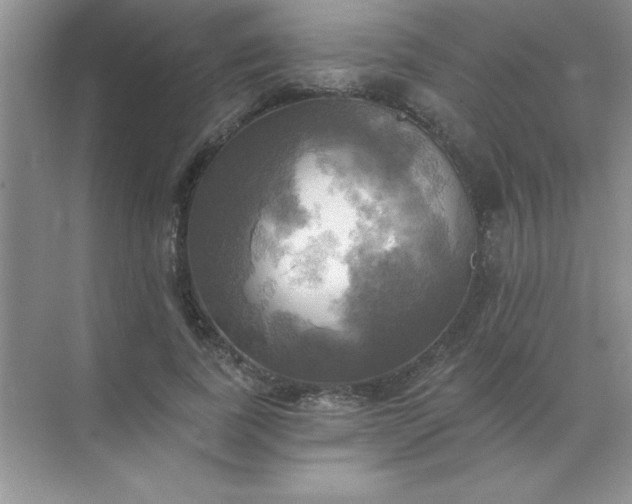 X0000071910739200607212042