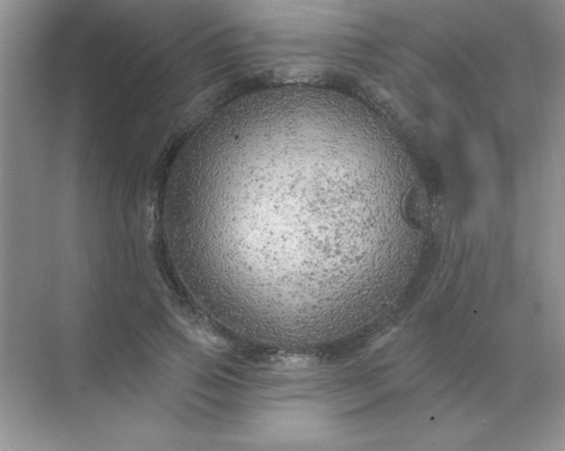 X0000071910741200607212042