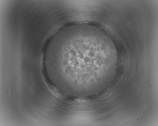 X0000071910742200607212042