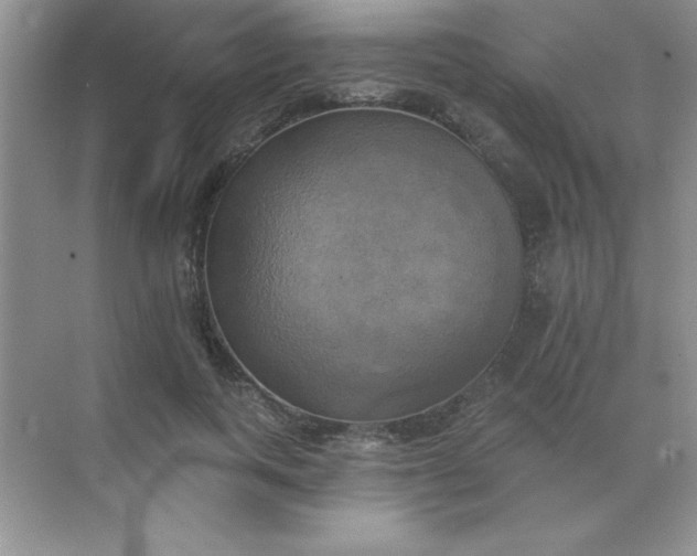 X0000071910743200607212042