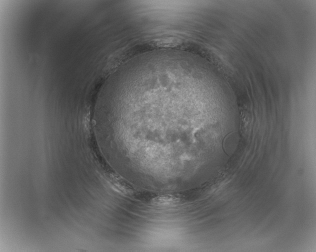 X0000071910745200607212042