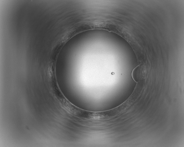 X0000071910746200607212042