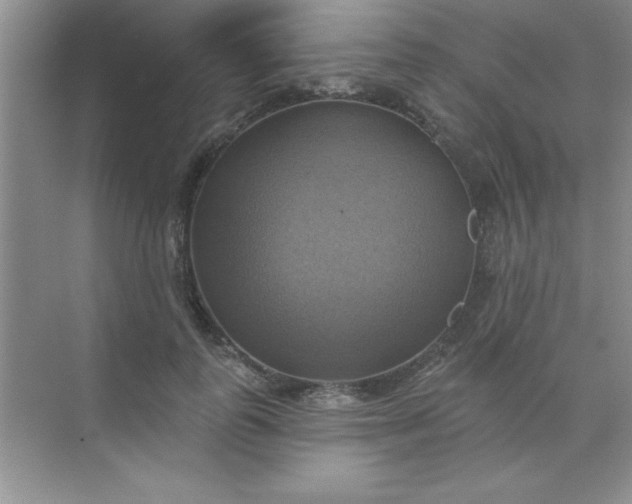 X0000071910747200607212042