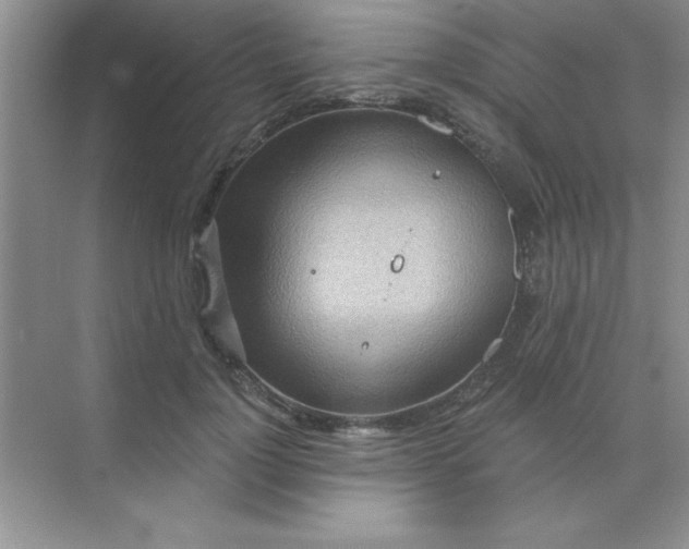 X0000071910748200607212042