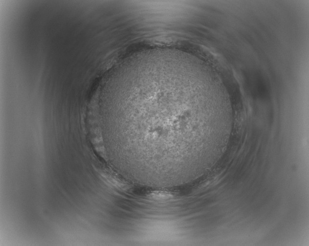 X0000071910749200607212042