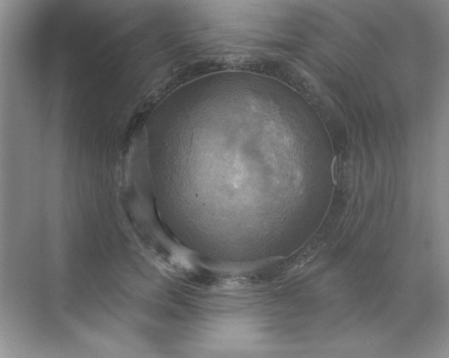 X0000071910750200607212042