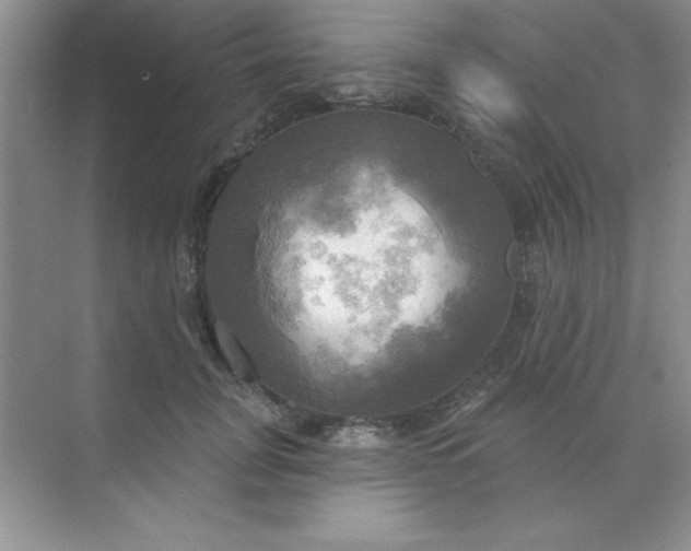 X0000071910751200607212042