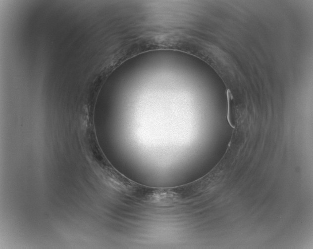 X0000071910752200607212042