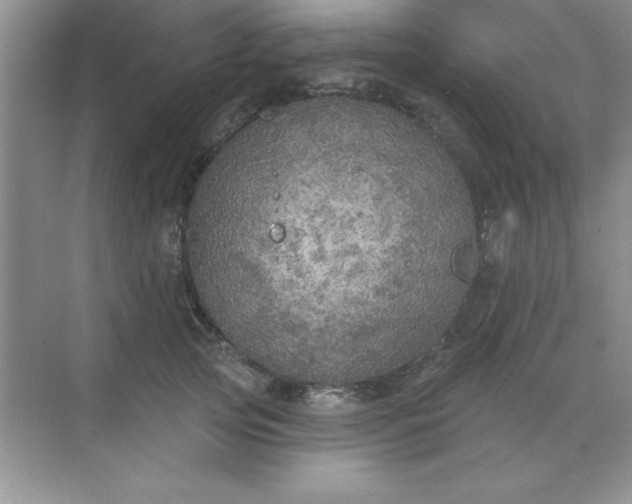 X0000071910753200607212042