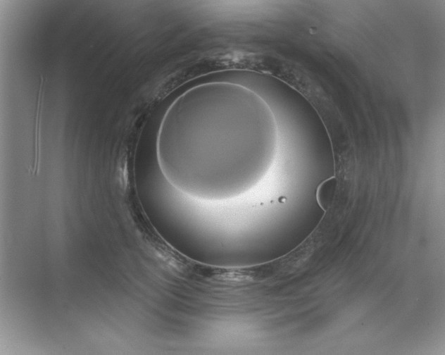 X0000071910754200607212042