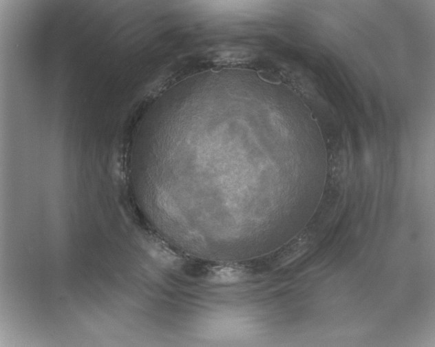 X0000071910755200607212042