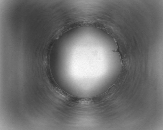 X0000071910756200607212042