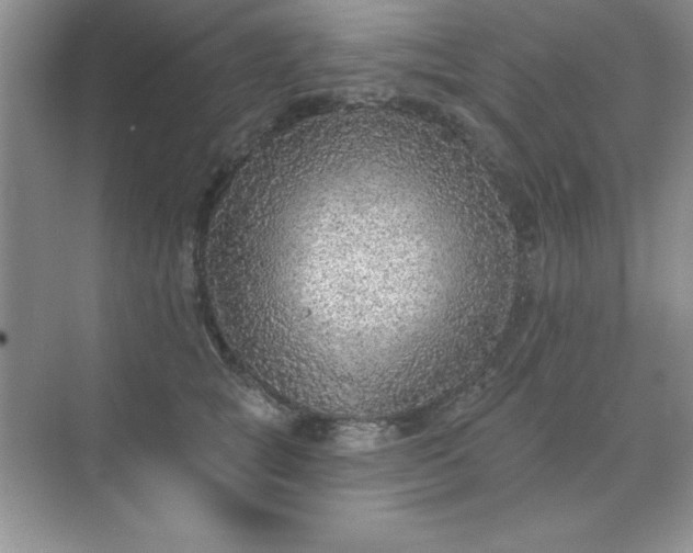 X0000071910757200607212042