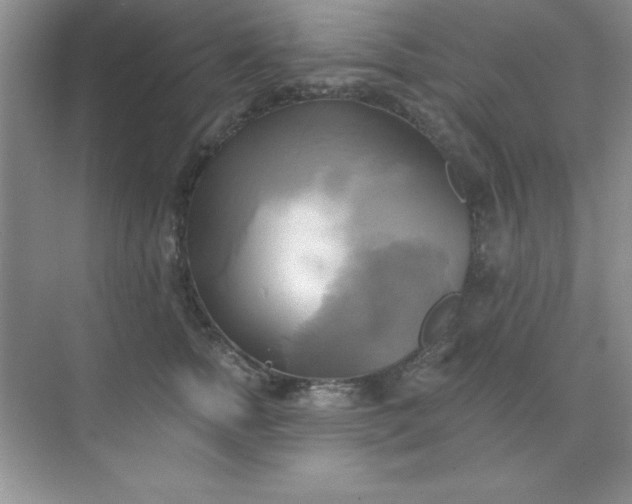 X0000071910758200607212042