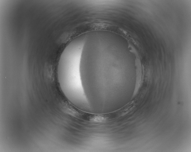 X0000071910759200607212042