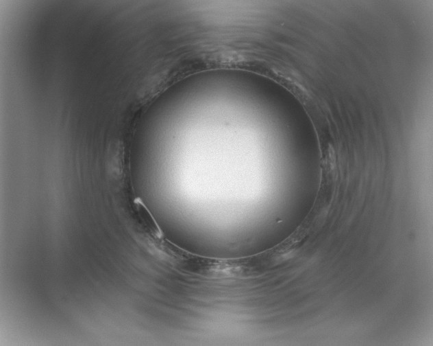 X0000071910760200607212042