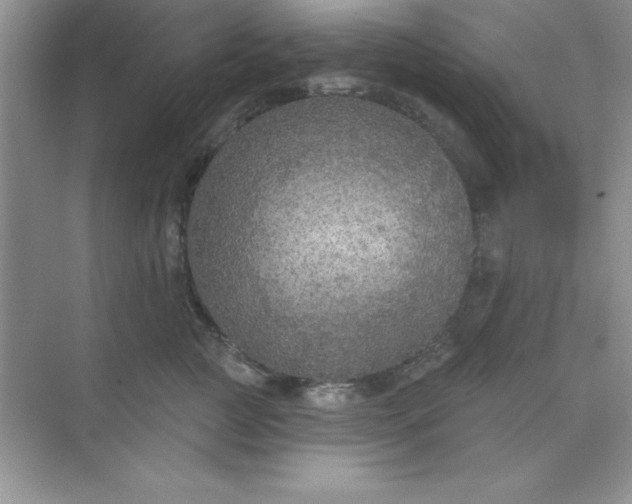 X0000071910761200607212042