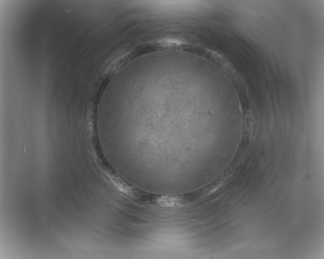 X0000071910762200607212042