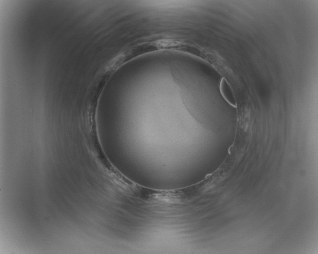 X0000071910763200607212042