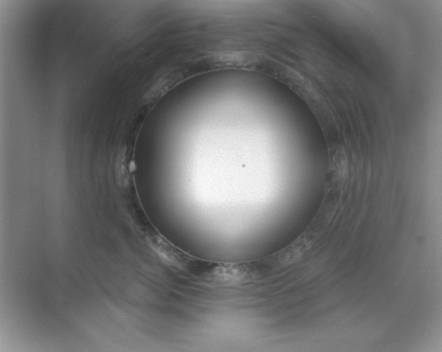 X0000071910764200607212042