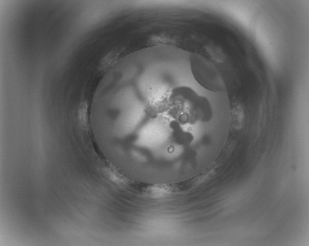 X0000071910765200607212042