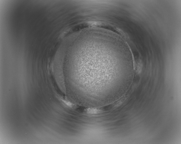 X0000071910766200607212042