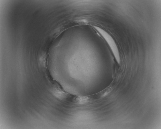 X0000071910767200607212042