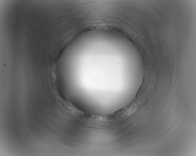 X0000071910768200607212042